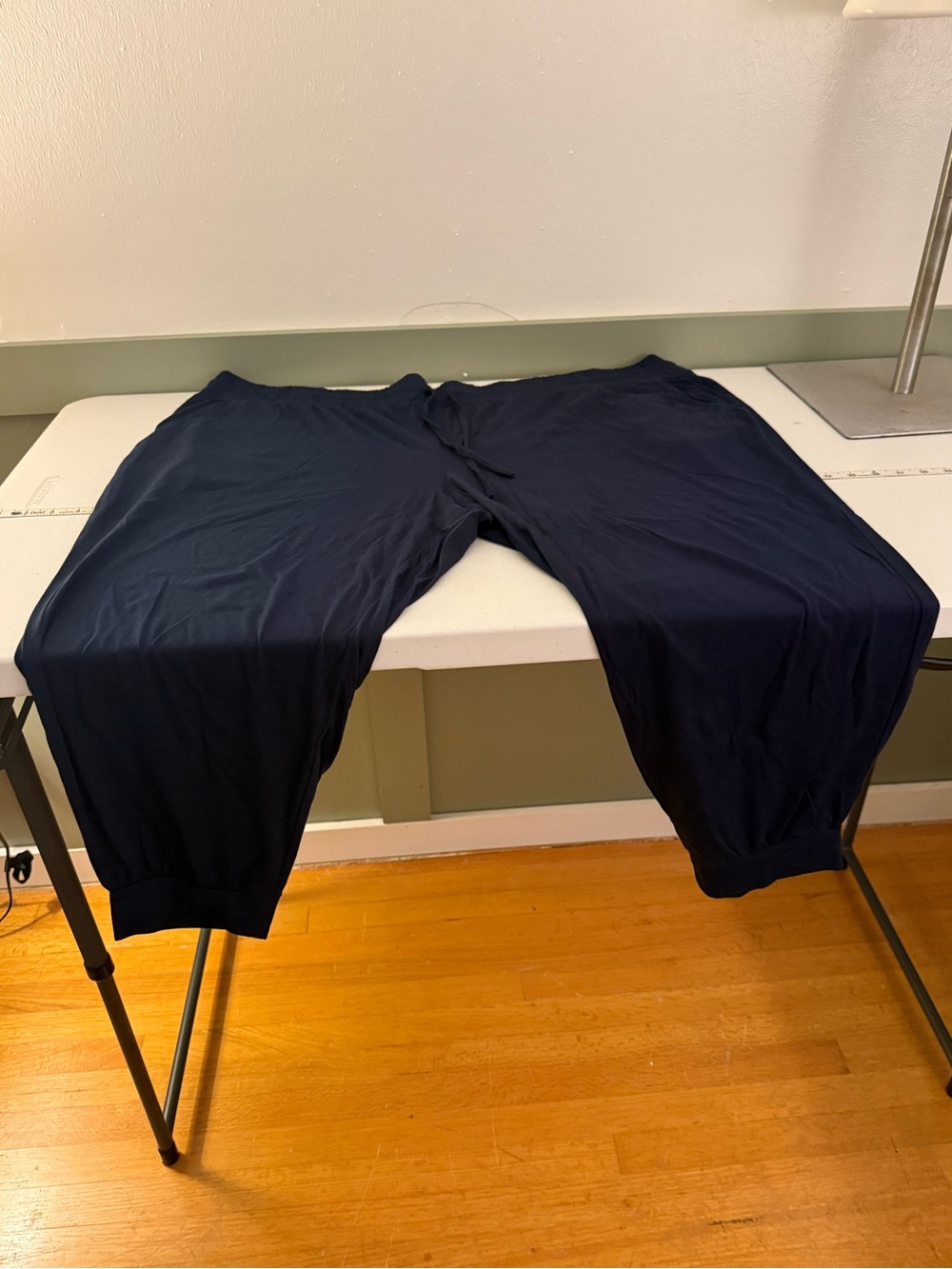 AnyBody Navy Blue Women’s Jogger Track Pants